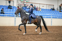 2020 - AB Morgan Horse - Sat, Sept 05 - 02617