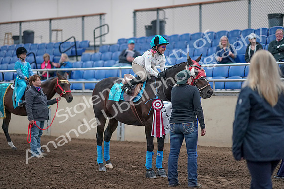 2019 Morgan Horse Show - Aug 31, 2019 - 10153