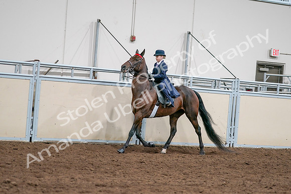 2020 - AB Morgan Horse - Sat, Sept 05 - 04804