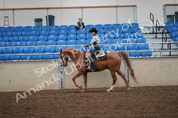 2019 Morgan Horse Show - Aug 30, 2019 - 16860