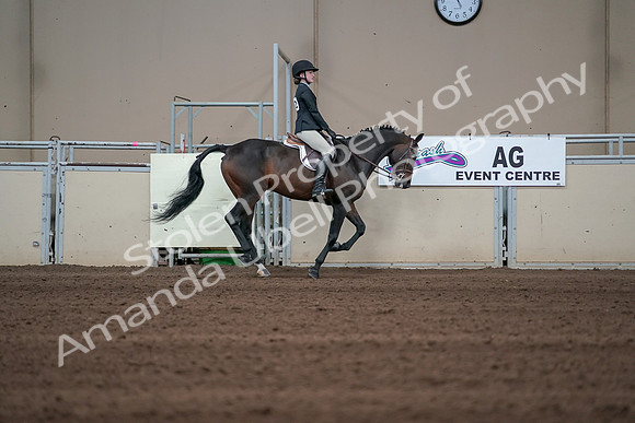 2019 Morgan Horse Show - Sept 01, 2019 - 03918