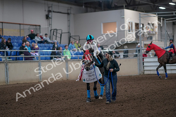 2019 Morgan Horse Show - Aug 31, 2019 - 09964