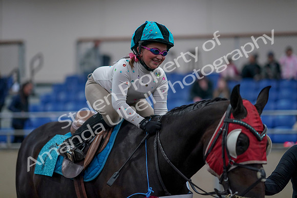 2019 Morgan Horse Show - Aug 31, 2019 - 10247