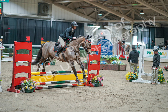 2020 - Spruce Meadows - FCI - Fri, Feb 07 - 00570