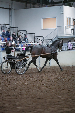 Spring Fling - Saturday - April 20, 2019  -  00262