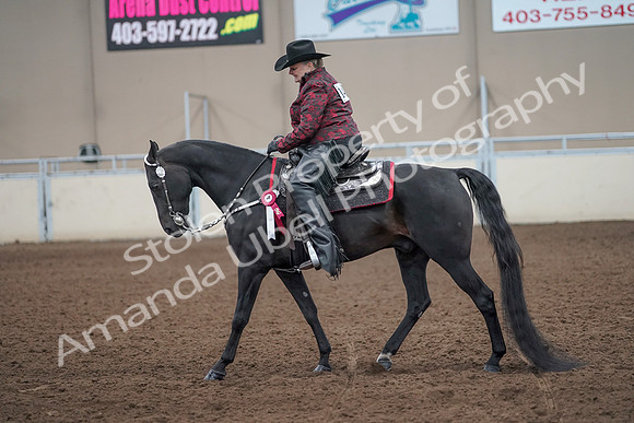 2019 Morgan Horse Show - Aug 31, 2019 - 10820