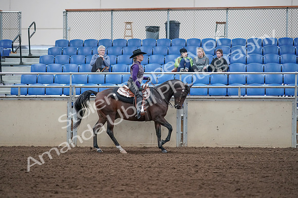 2019 Morgan Horse Show - Aug 31, 2019 - 10691