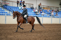 2020 - AB Morgan Horse - Sat, Sept 05 - 06870