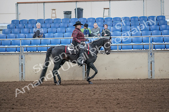 2019 Morgan Horse Show - Aug 31, 2019 - 10762
