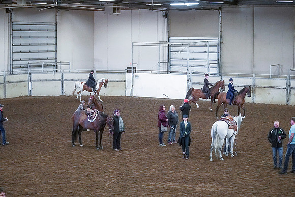 Spring Fling - Saturday - April 20, 2019  -  00348