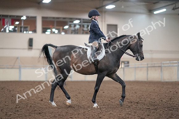 2019 Morgan Horse Show - Aug 31, 2019 - 19671