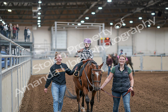 2020 - AB Morgan Horse - Sat, Sept 05 - 10076