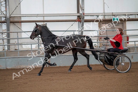 July 20, 2019 - 00135