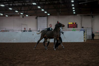 2019 Morgan Horse Show - Aug 31, 2019 - 03557