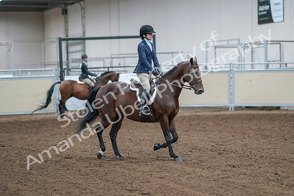 2020 - AB Morgan Horse - Fri, Sept 04 - 05964