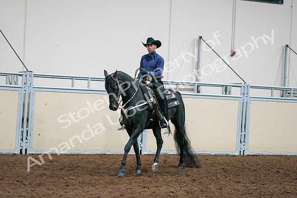 2020 - AB Morgan Horse - Sun, Sept 06 - 07594