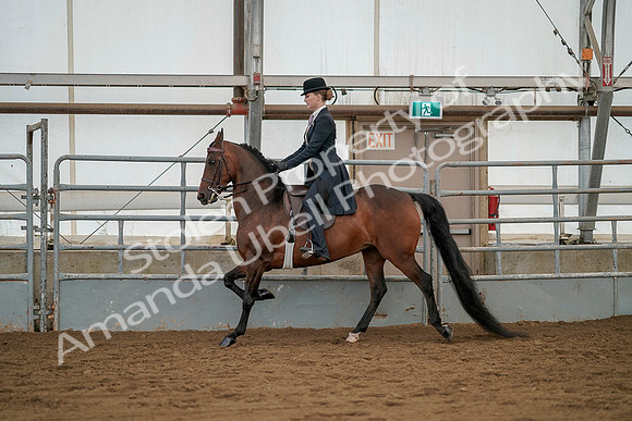 July 20, 2019 - 04282