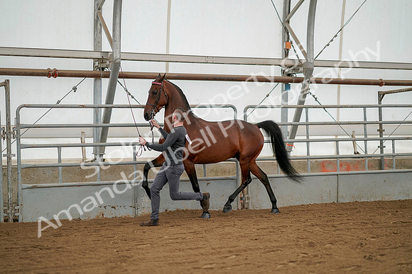 July 19, 2019 - 1248