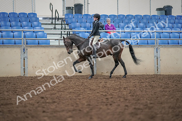 2019 Morgan Horse Show - Aug 30, 2019 - 20310