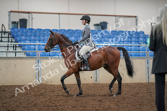 2019 Morgan Horse Show - Aug 30, 2019 - 23196