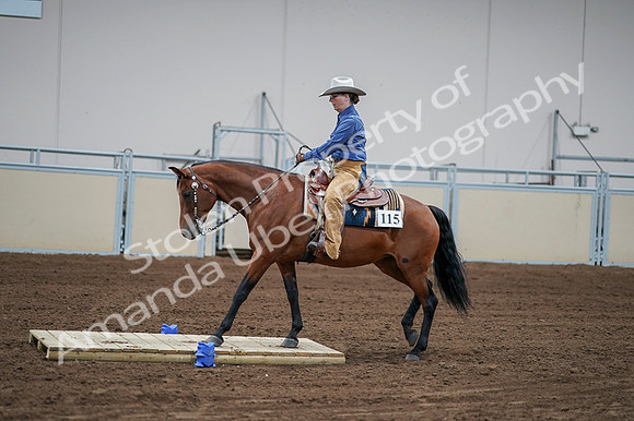2020 - AB Morgan Horse - Fri, Sept 04 - 00167