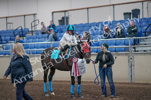 2019 Morgan Horse Show - Aug 31, 2019 - 10218