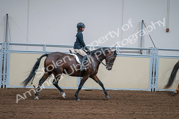 2020 - AB Morgan Horse - Fri, Sept 04 - 01822