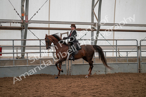 July 19, 2019 - 13006