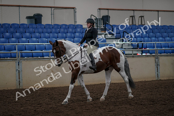 2019 Morgan Horse Show - Aug 30, 2019 - 31115