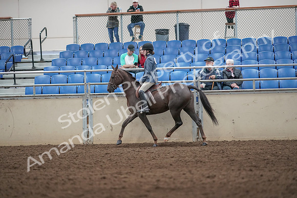 2019 Morgan Horse Show - Aug 31, 2019 - 07213