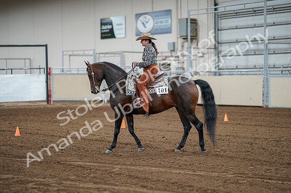 2020 - AB Morgan Horse - Fri, Sept 04 - 00075