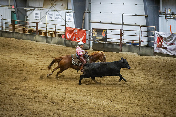 DSC03768