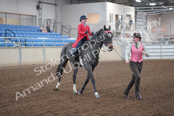 2019 Morgan Horse Show - Sept 01, 2019 - 10680
