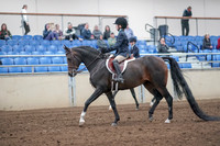 2019 Morgan Horse Show - Aug 31, 2019 - 19393