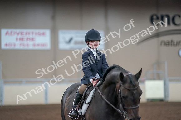 2019 Morgan Horse Show - Aug 31, 2019 - 19712