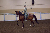 Class 106 - A/HA/AA Saddle Seat Equitation, JTR