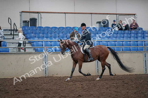 2019 Morgan Horse Show - Aug 31, 2019 - 14951