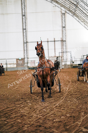 July 19, 2019 - 6790