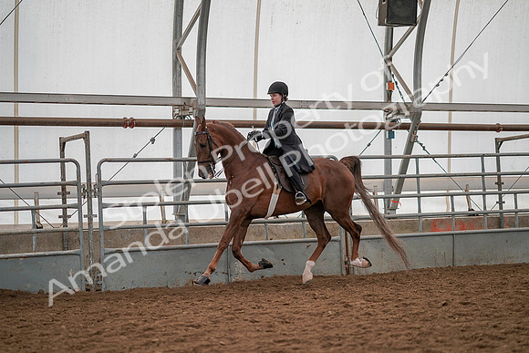 July 19, 2019 - 13154
