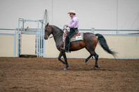 2020 - AB Morgan Horse - Sat, Sept 05 - 05659
