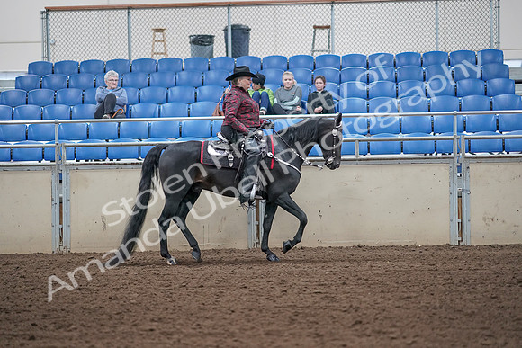 2019 Morgan Horse Show - Aug 31, 2019 - 10763