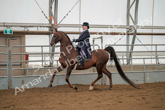 July 20, 2019 - 02235