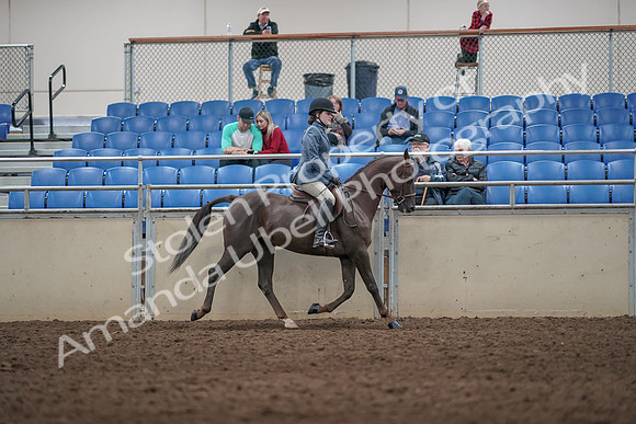 2019 Morgan Horse Show - Aug 31, 2019 - 07405