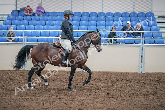 2020 - AB Morgan Horse - Sat, Sept 05 - 09356