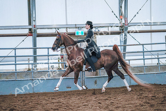 July 20, 2019 - 23846