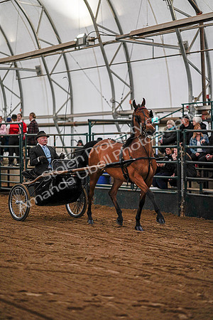 July 19, 2019 - 6923