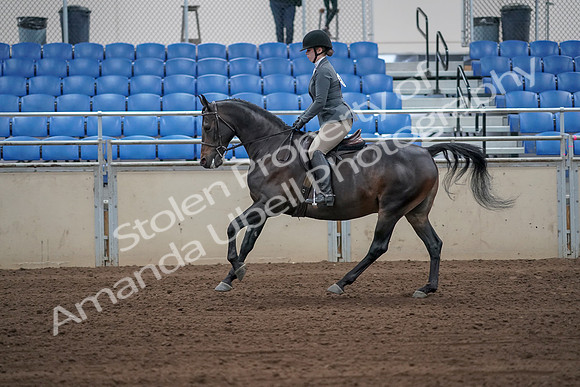 2019 Morgan Horse Show - Sept 01, 2019 - 10970_1
