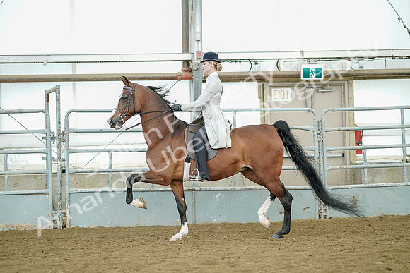 July 20, 2019 - 07793