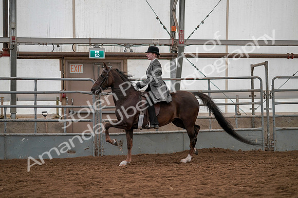 July 19, 2019 - 13048