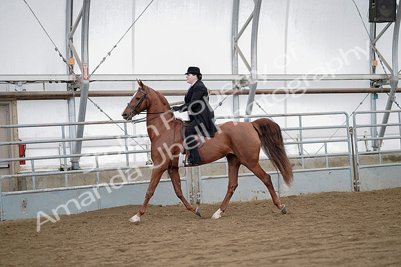 July 21, 2019 - 10468